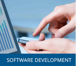 service software development